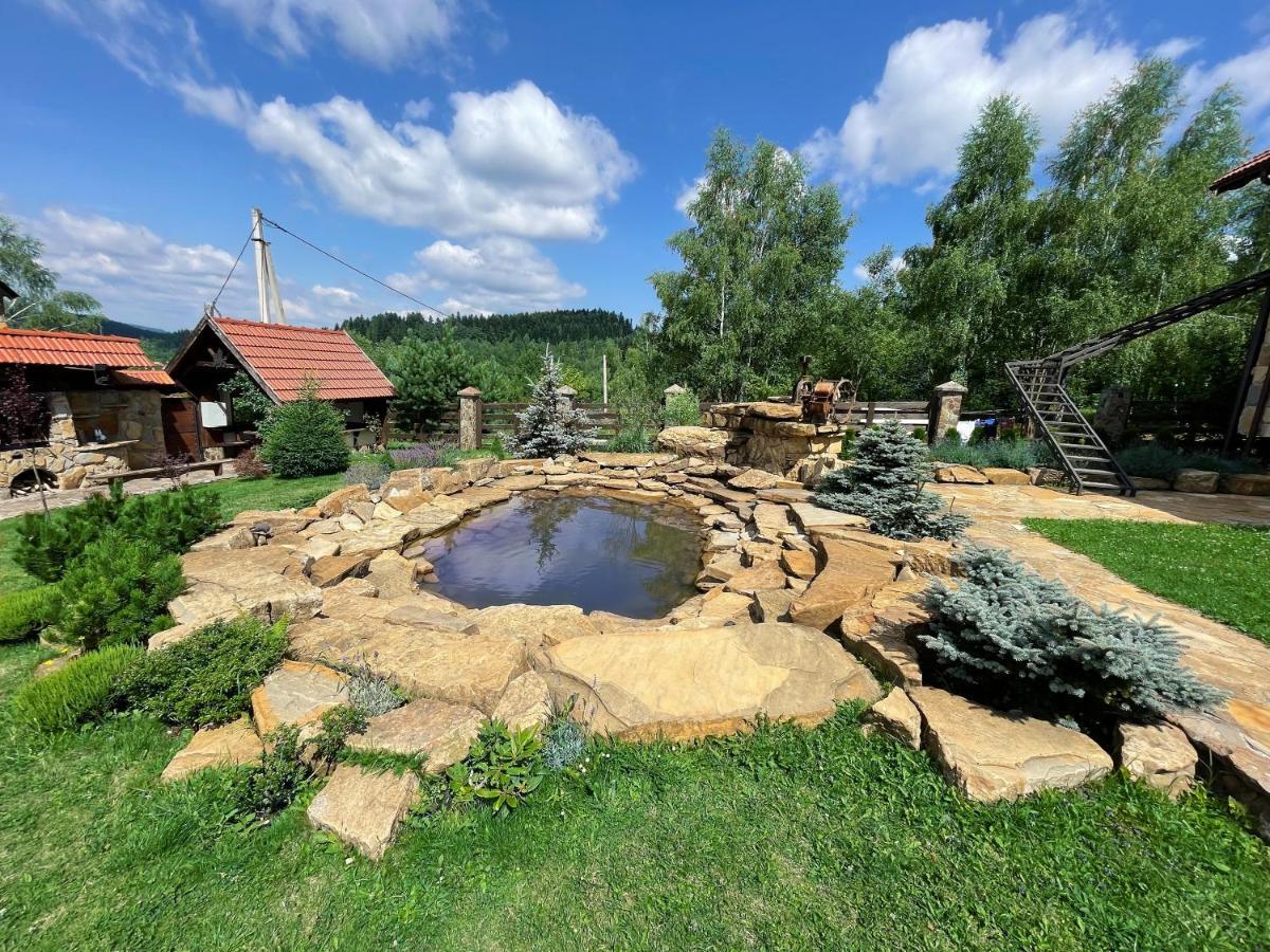 Villa Zoryany Dvir Сходница Экстерьер фото